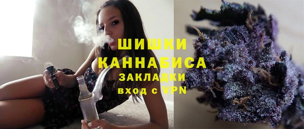 амф Арсеньев